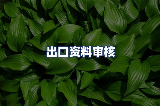 出口资料审核