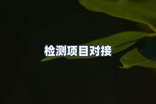 检测项目对接